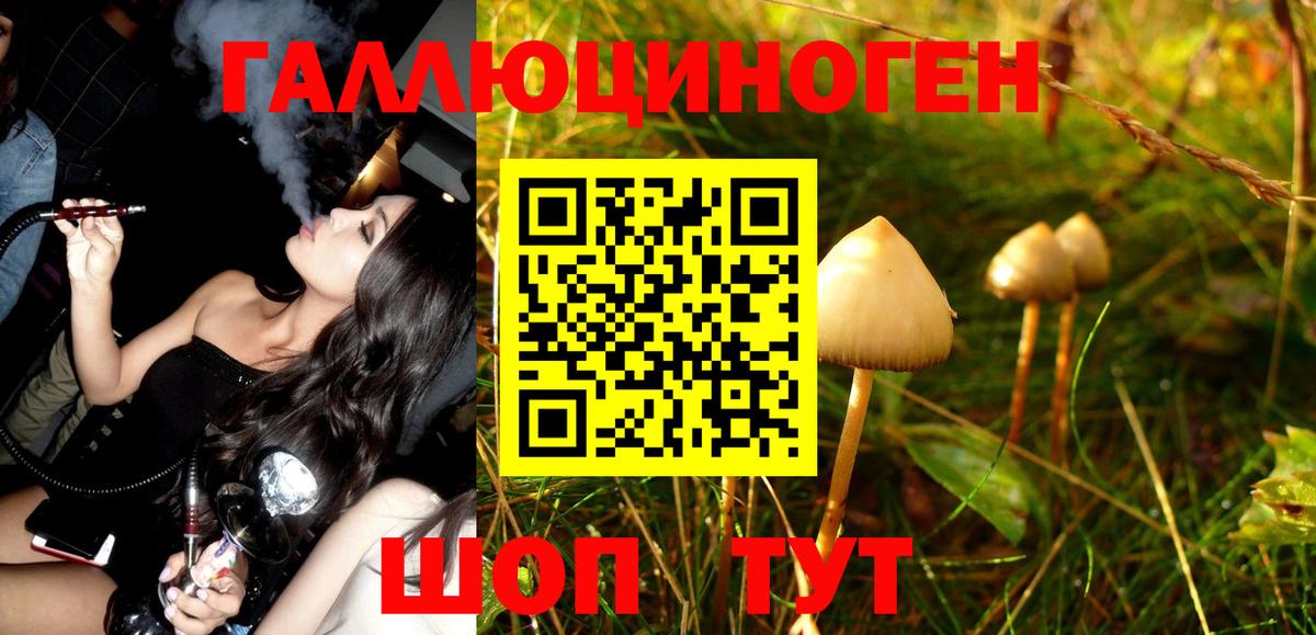 Серпухов  Псилоцибиновые грибы Psilocybe  Вход с VPN  Псилоцибиновые грибы Psilocybe 